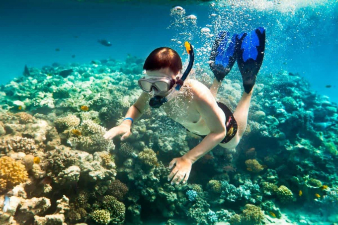 Lặn biển ngắm nhìn các loài sinh vật là hoạt động không thể thiếu ở đây
