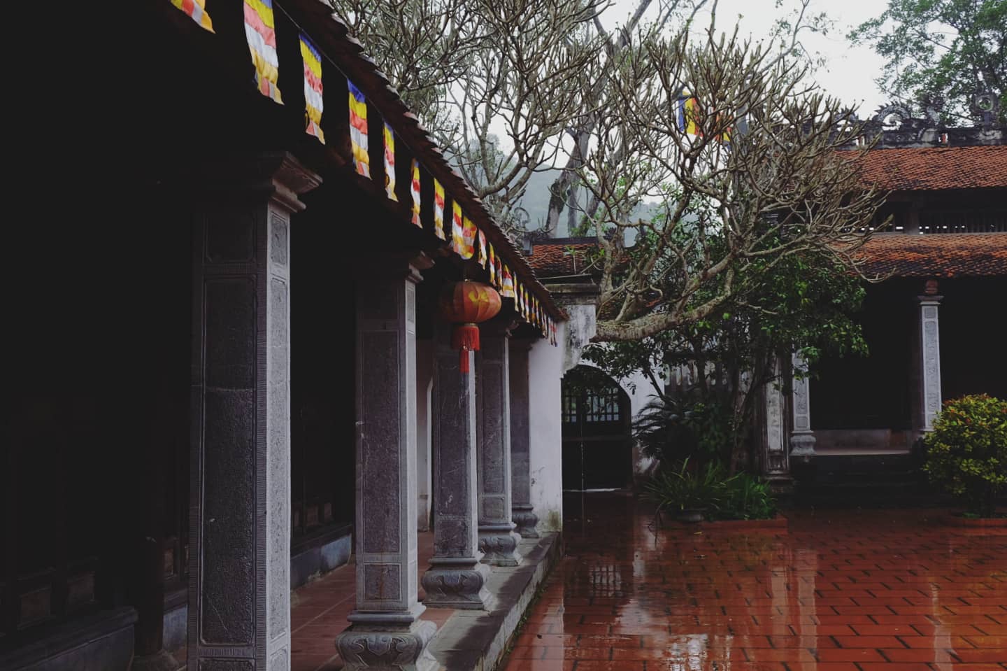 Tuy nhiên, vì sao chùa Bà Đanh lại vắng vẻ như thế thì tới nay chưa ai lý giải được! Ảnh: @jessiepham___