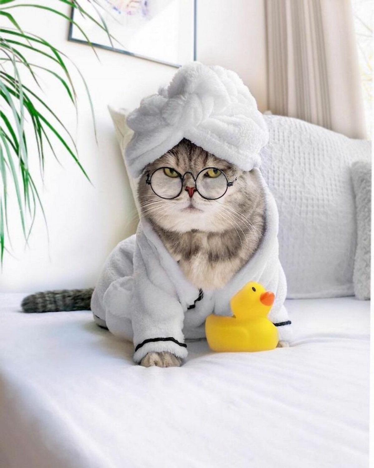 Để an toàn, bạn có thể chọn những món như bánh mứt, cành đào, bánh chưng, giò chả...