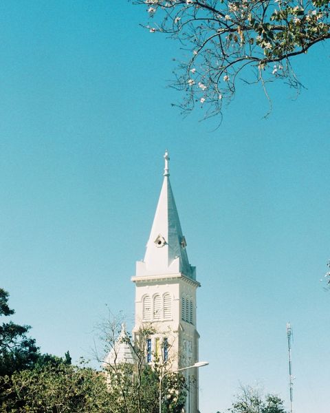 dalat-1-10162190