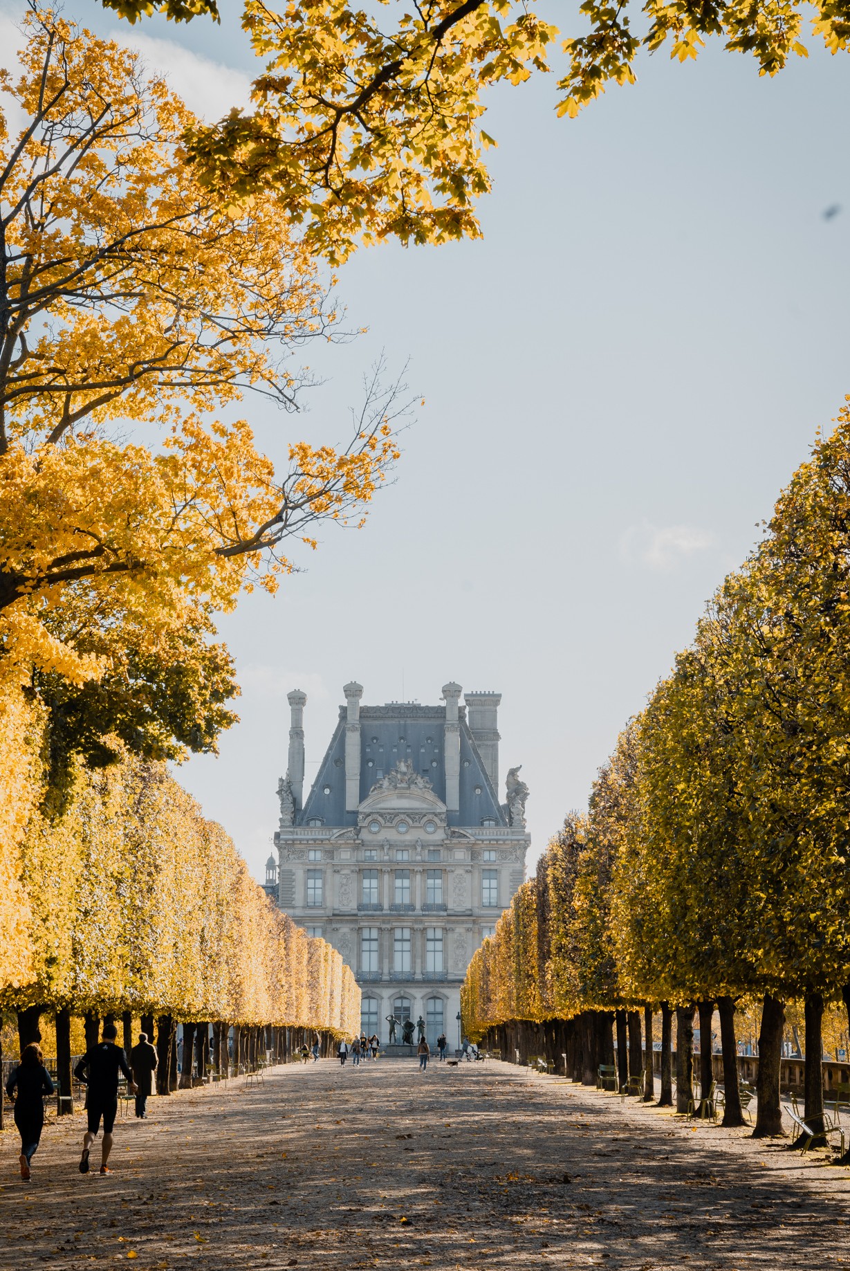 _dsc5366-jardin-des-tuileries-16400989