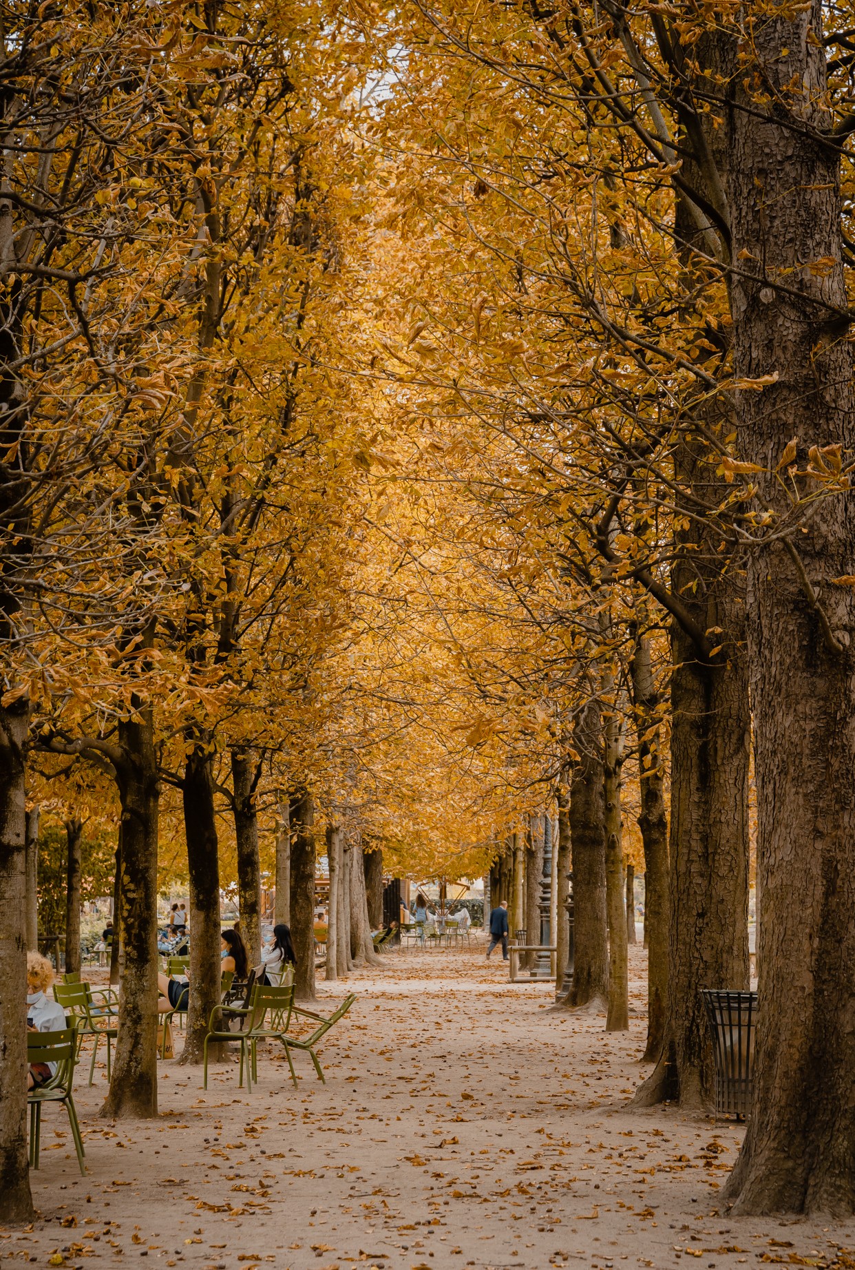 _dsc6018-jardin-des-tuileries-16360366