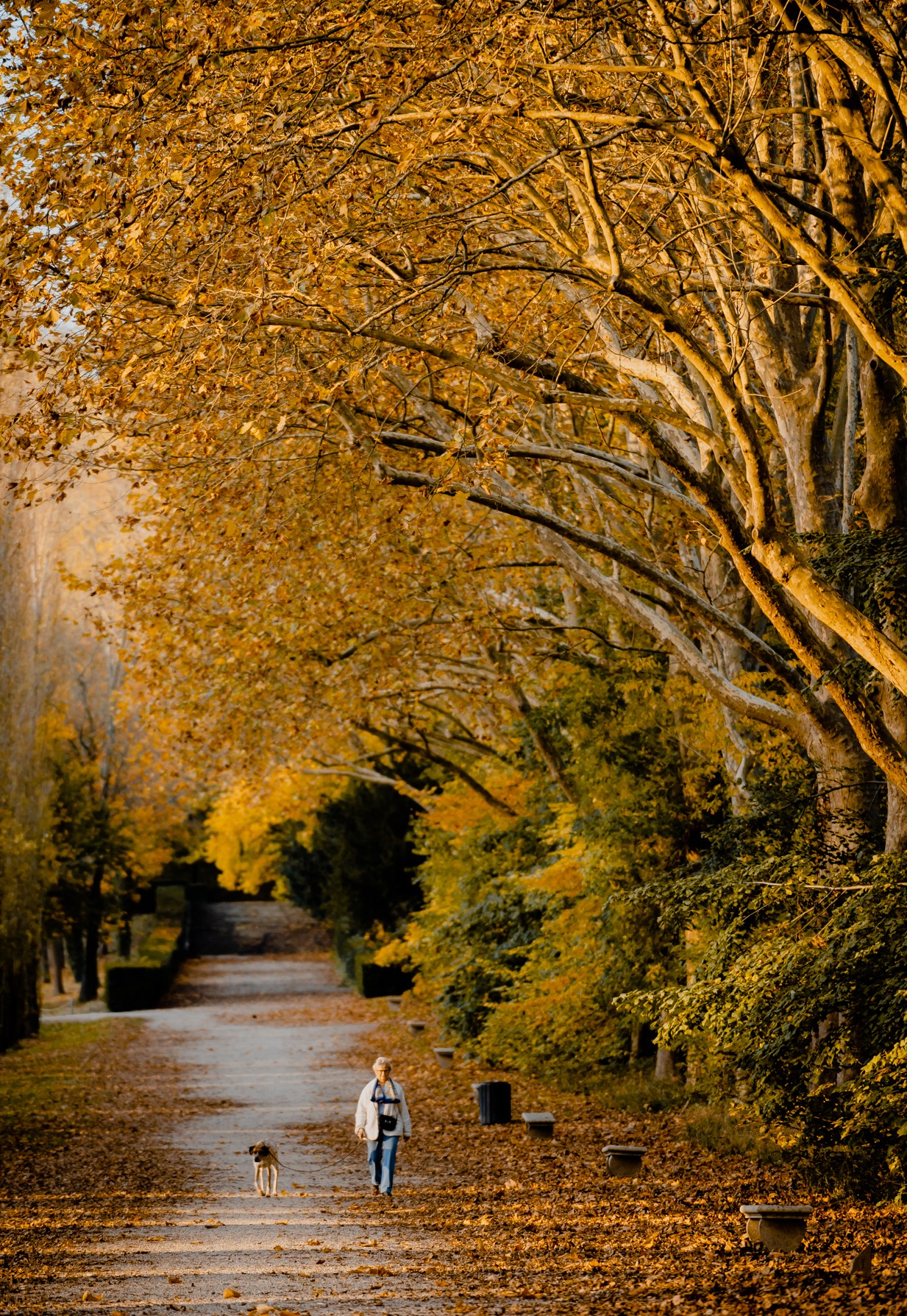 _dsc7902-parc-de-sceaux-16393219