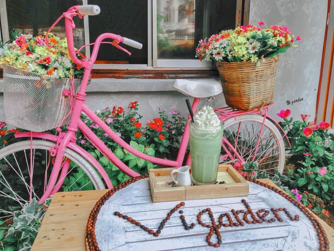 Ảnh: Vi Garden