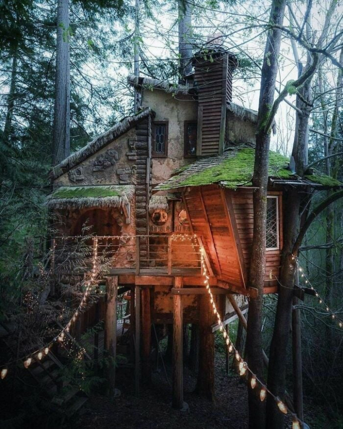 Lối thiết kế này giúp cabin không bị nhấn chìm bởi bóng tối, đón được ánh sáng vào không gian bên trong