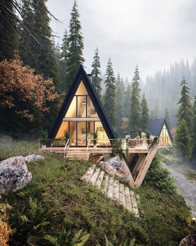 Cabin nhỏ xinh ẩn mình trong khu rừng cây lá kim