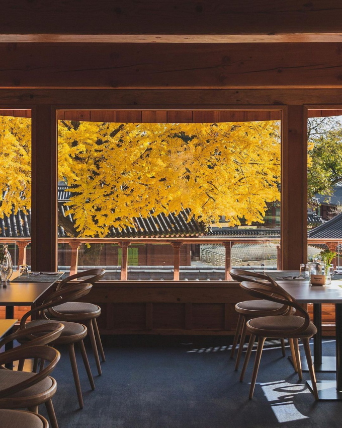 Một số quán cafe có tầm nhìn ra cây ngân hạnh. Ảnh: @bli2s_