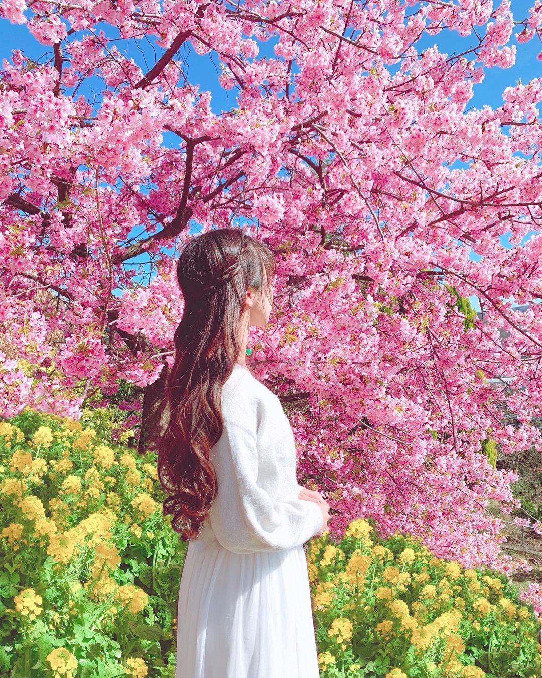 Đây cũng là dịp các thiếu nữ Nhật khoe sắc bên hoa đào. Ảnh: @na_neko7