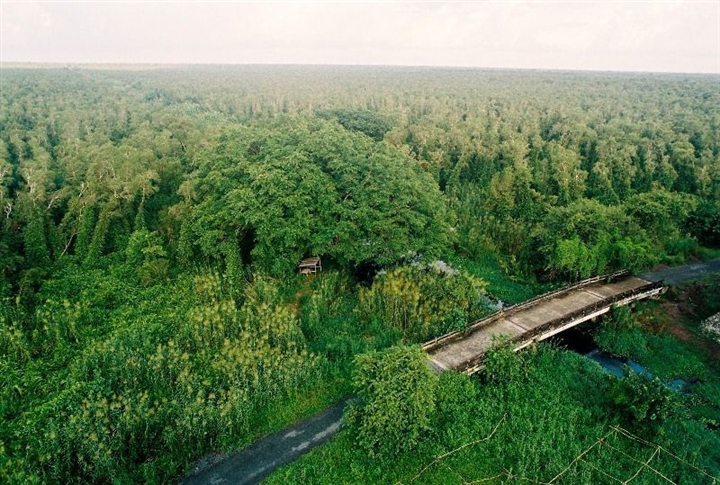 Bởi vậy, ngày nay vườn quốc gia U Minh Hạ đã trở thành điểm du lịch sinh thái nổi tiếng, đem tới cho du khách những trải nghiệm thư giãn và sảng khoái. Ảnh: Son Yama