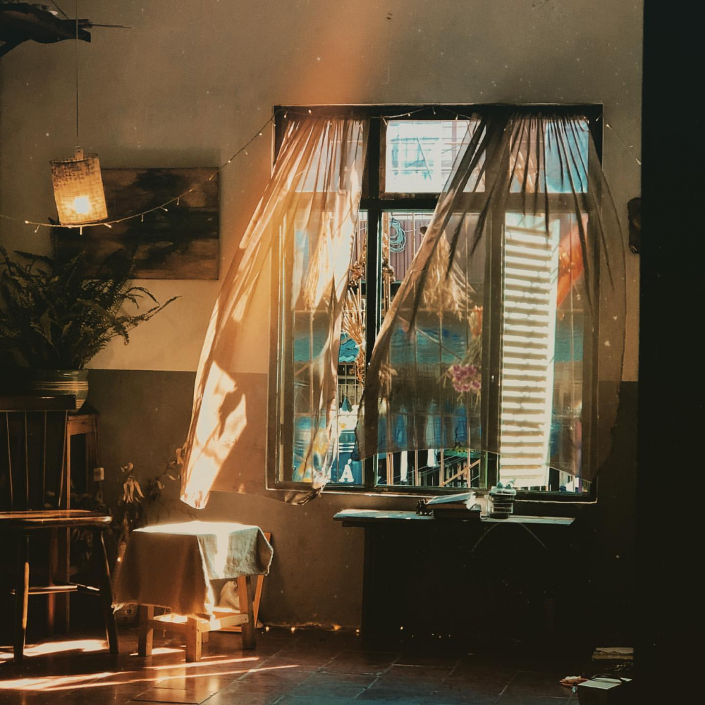 Miên vào một ngày nắng. Ảnh: @daoisthebezt
