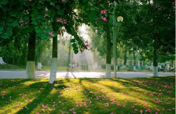 ecopark ngoai o ha noi