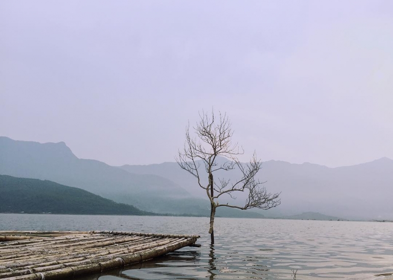 Cây cô đơn ở đầm Lập An