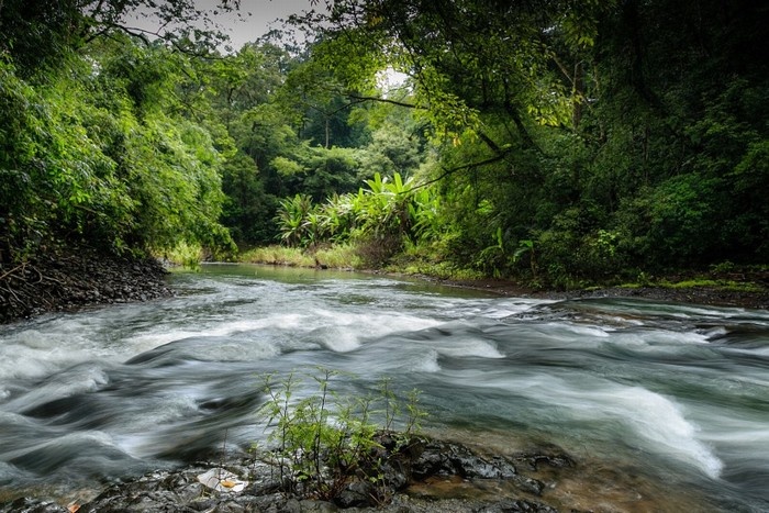 Dòng suối nhỏ chảy róc rách trong khu rừng sinh quyển - Ảnh: Nguyen Quang Vinh
