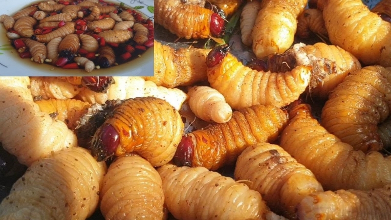Đặc sản miền Tây ở Sài Gòn – Đuông dừa