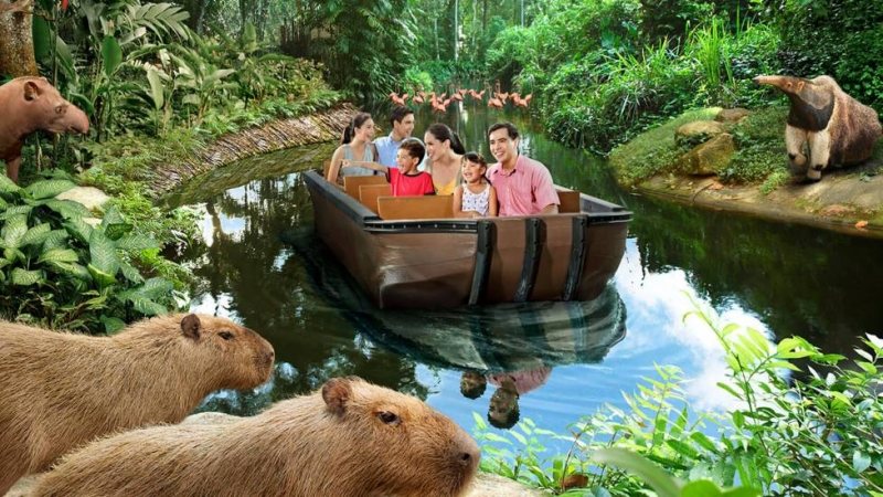 Safari Park được xây dựng với mô hình hoang dã với các loại động vậy quý hiếm. Tại đây, du khách có thể quan sát tận mắt cuộc sống của các loại động vật khác nhau một cách tự nhiên nhất.