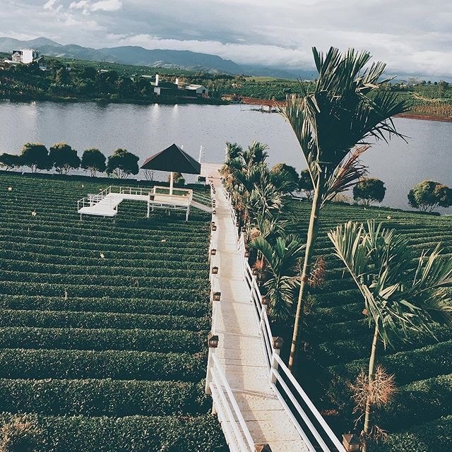 Ảnh:tr.nguyentramy__