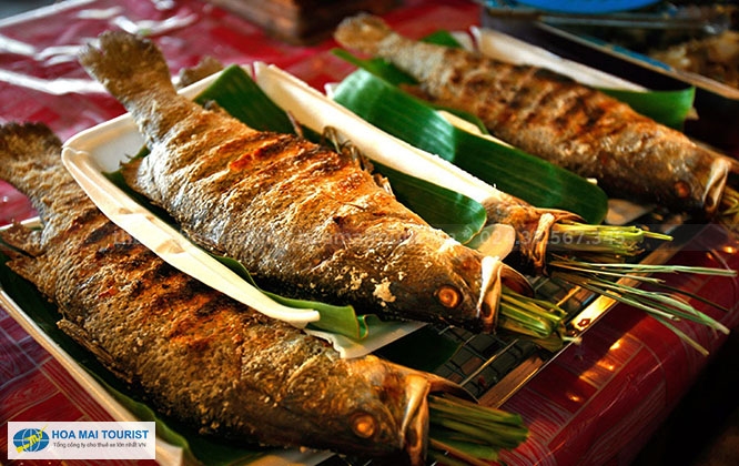 Cá Trầm Hương