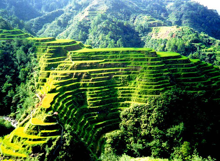 Ruộng bậc thang Banaue