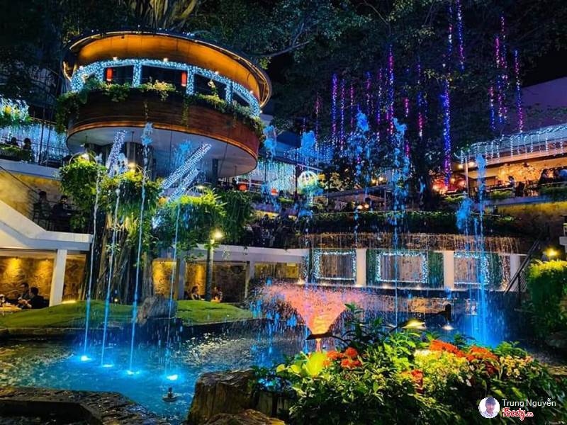 Du miên như được tôn lên vẻ đẹp rõ hơn dưới những ánh đèn đầy màu sắc lấp lánh
