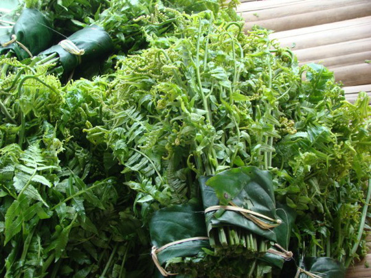 Nguồn: Dacsansapa.org