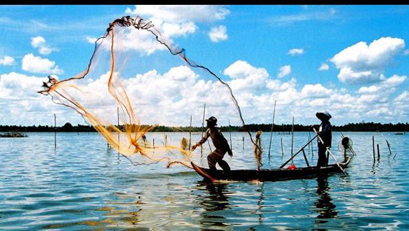 Đầm Thị Tường là một trong những đầm nước tự nhiên lớn nhất vùng đồng bằng sông Cửu Long
