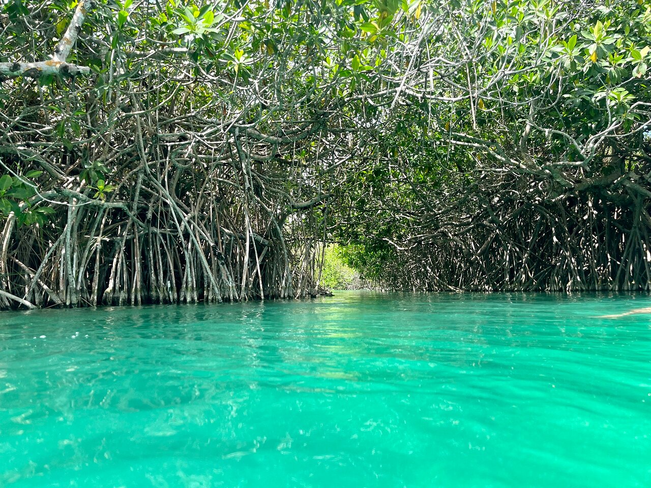 Khu dự trữ sinh quyển Sian Ka'an