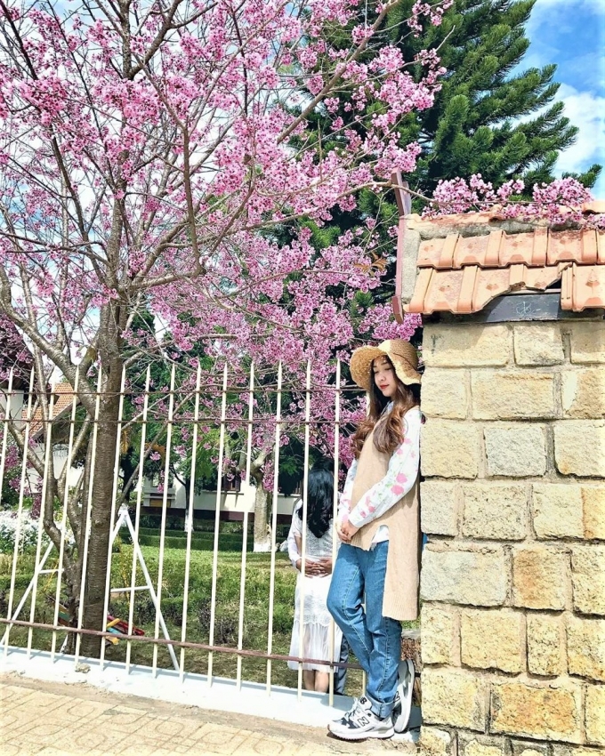 nhung-con-doc-noi-tieng-o-da-lat-15