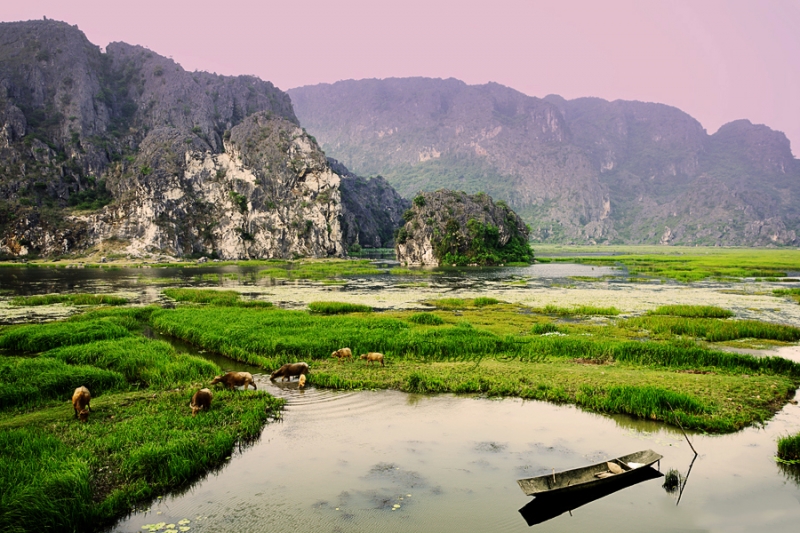 20161214071206-kdl-van-long-ninh-binh-gofy (12)