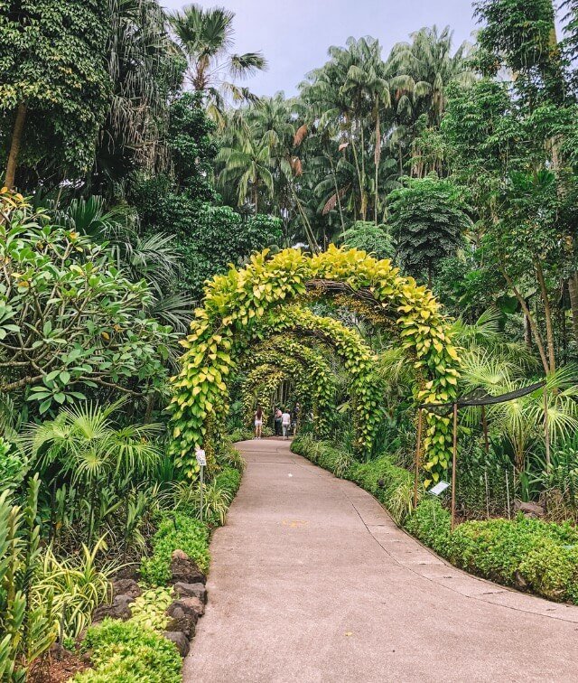 Singapore Botanic Gardens là một ốc đảo xinh đẹp