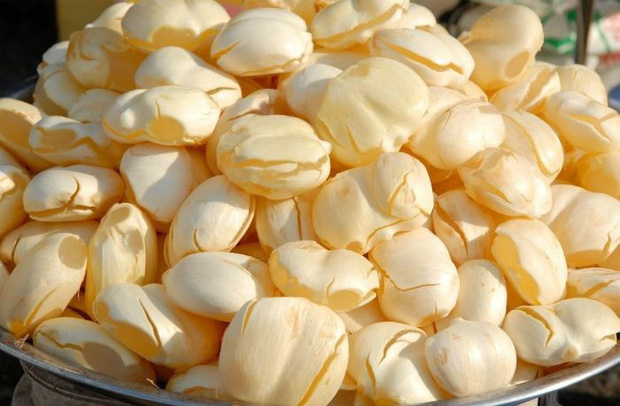 Trái thốt nốt