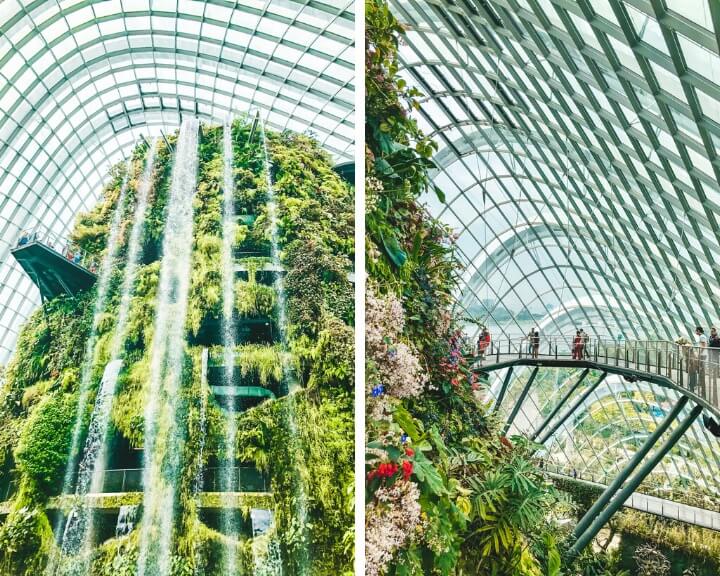 Cloud Forest là một điểm tham quan nổi tiếng ở Singapore