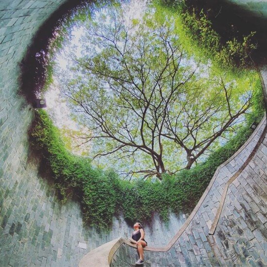 Đường hầm trên cây ở Công viên Fort Canning là một cầu thang ngầm tuyệt đẹp