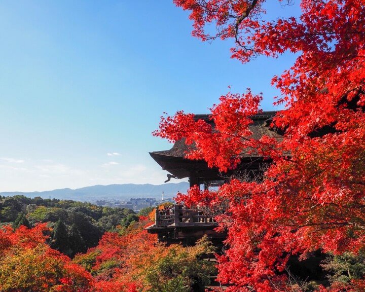 Kiyomizu - Dera (Đền nước tinh khiết) là một điểm tham quan lớn ở Kyoto