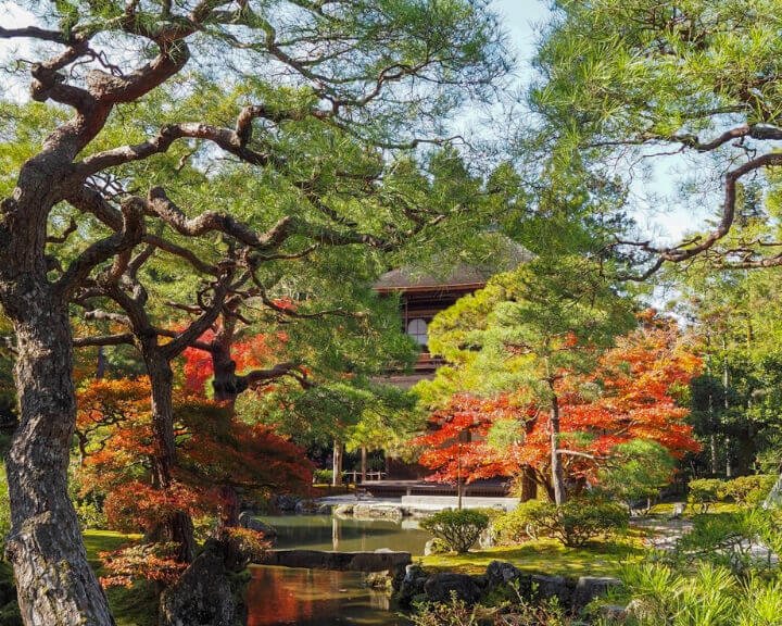 Ginkaku - Ji
