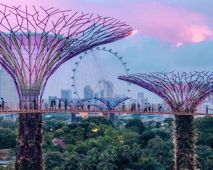 supergrove-trees-sunset-singapore