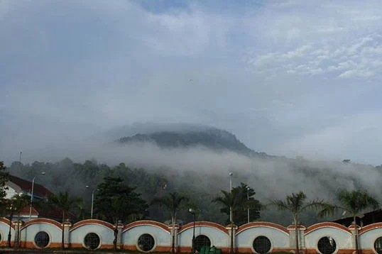 Phong cảnh mờ sương trên đỉnh núi