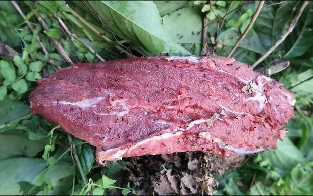 Thịt bò kiến đốt món đặc sản kỳ lạ ở Vĩnh Phúc