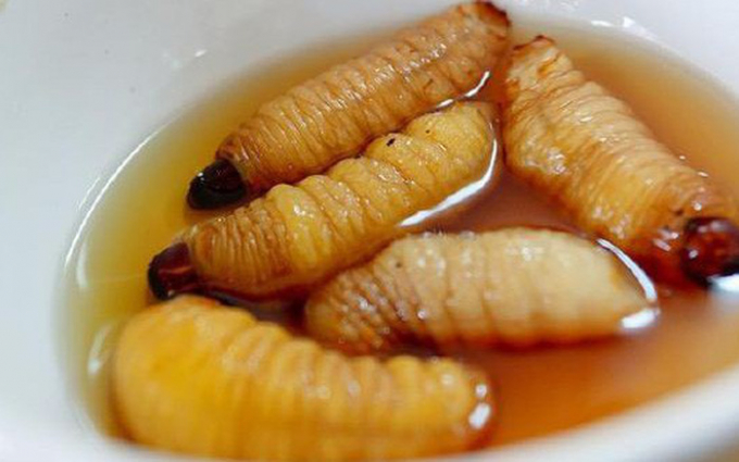 Món đuông dừa