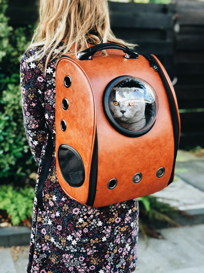 Bạn đâu muốn đi du lịch mà hoàng thượng vẫn bị ở mãi trong túi, nhỉ? Ảnh: Unsplash.