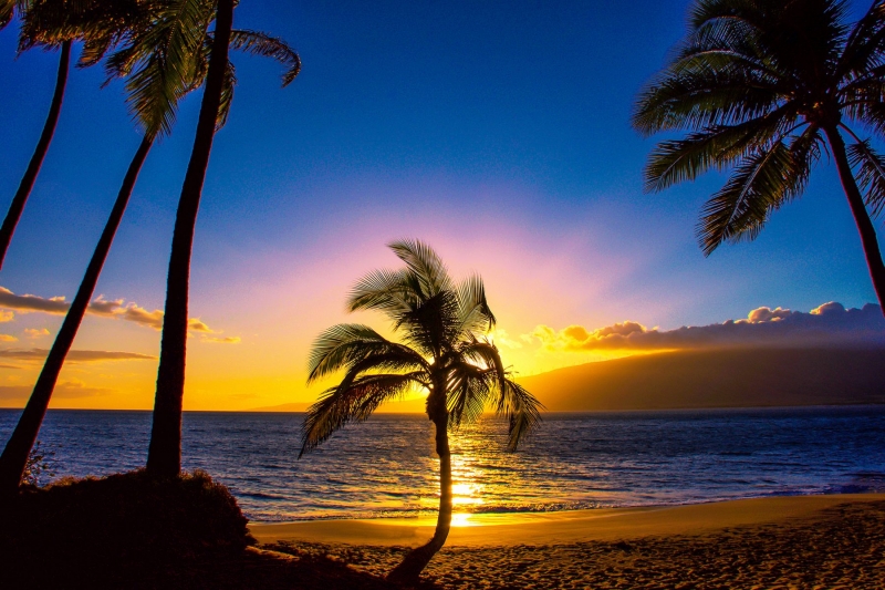 Chiều hoàng hôn ở Hawaii
