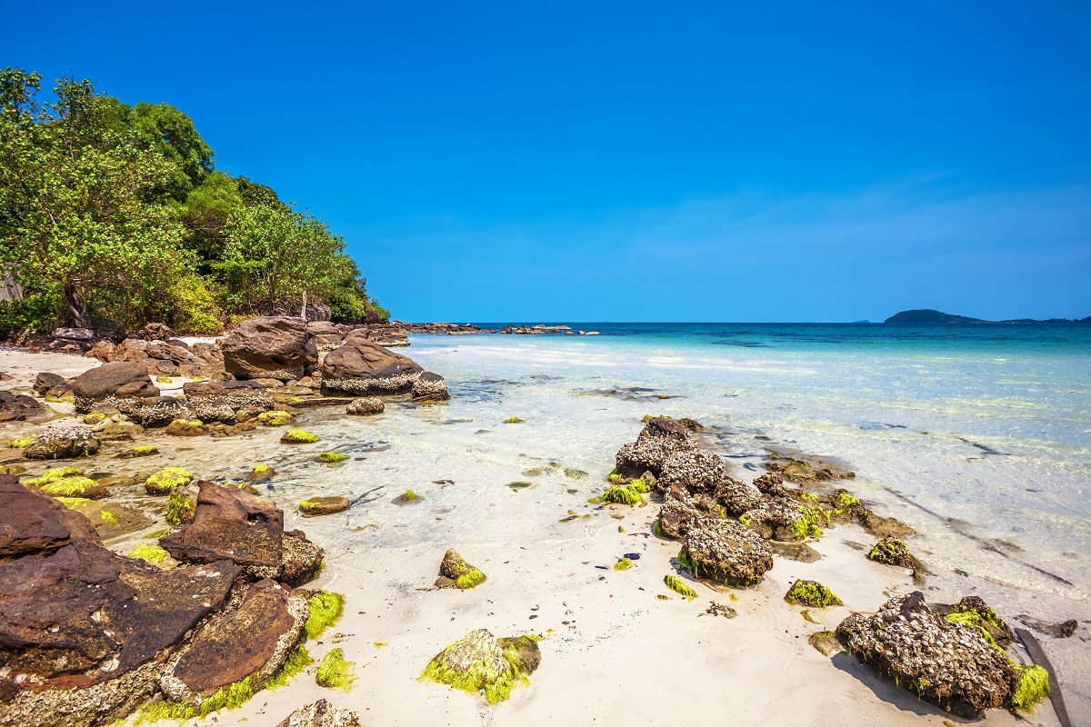 Ảnh: DeltaOFF/Shutterstock