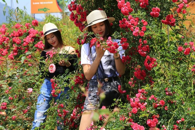 Nguồn: Chudu24.com