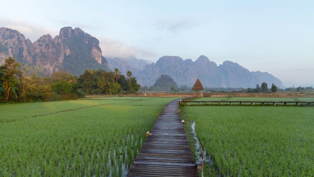 Những cánh đồng lúa mang đậm nét Á Đông. Ảnh: CNN