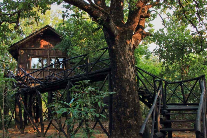 Nơi trú ngụ bình yên giữa lòng thiên nhiên Ảnh: treehousehideaway