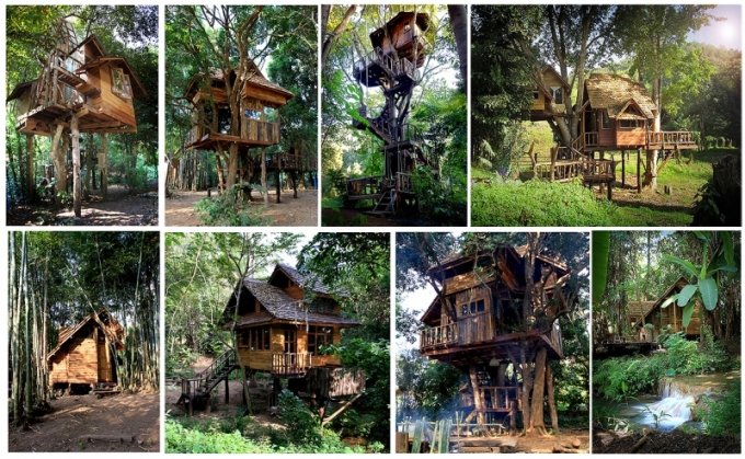Tổ hợp những ngôi nhà trên cây của Rabeang Pasak Tree House Resort Ảnh: chiangmaitreehouse