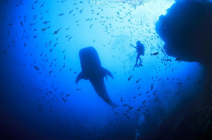 Đảo Cocos, Costa Rica