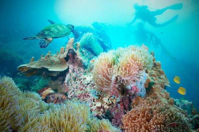 Hopkins, Belize