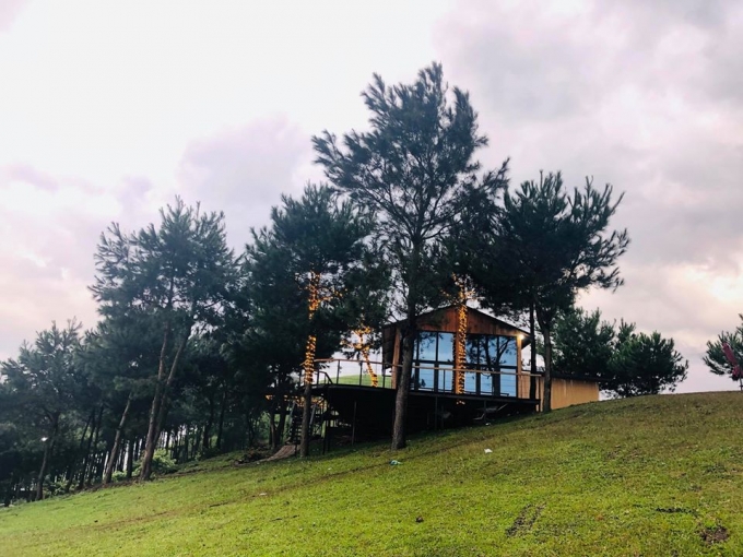 Nếu lần đầu đến đây, bạn có thể ngỡ ngàng như đang đặt chân tới Đà Lạt bởi vẻ đẹp quá đỗi hoang sơ với đồi thông, bãi cỏ rộng