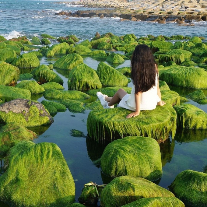 Phú Yên - điểm đến trong nước được Quốc tế