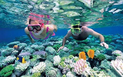 Ảnh: trainghiemphuquoc.vn